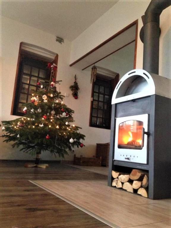 Ubytovani U Rybnicka Villa Arnoltice u Decina Bagian luar foto