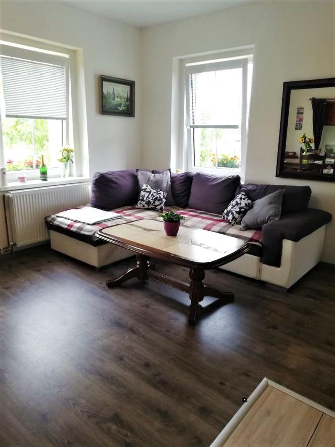 Ubytovani U Rybnicka Villa Arnoltice u Decina Bagian luar foto
