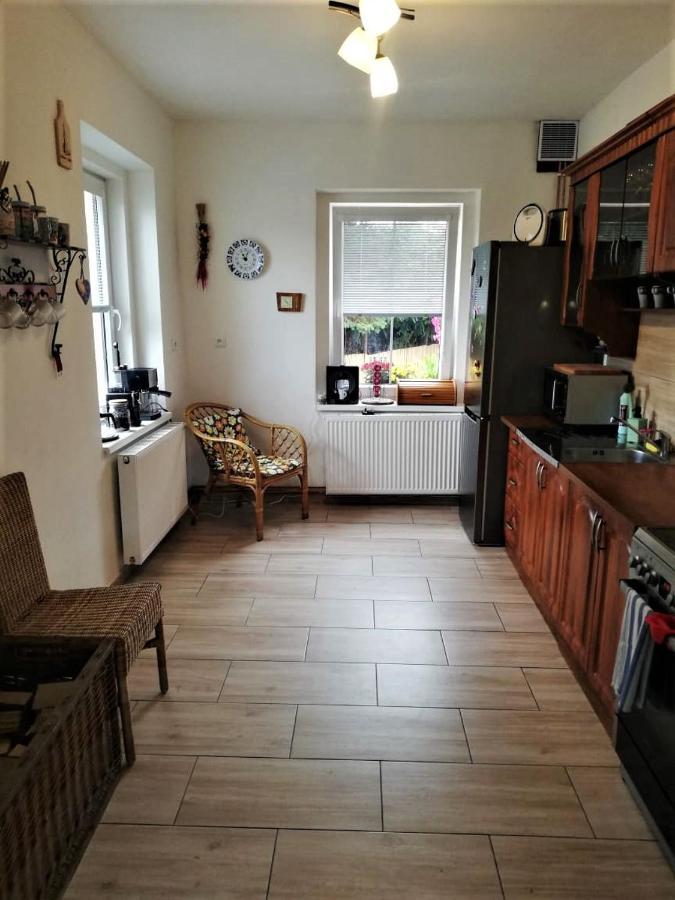 Ubytovani U Rybnicka Villa Arnoltice u Decina Bagian luar foto