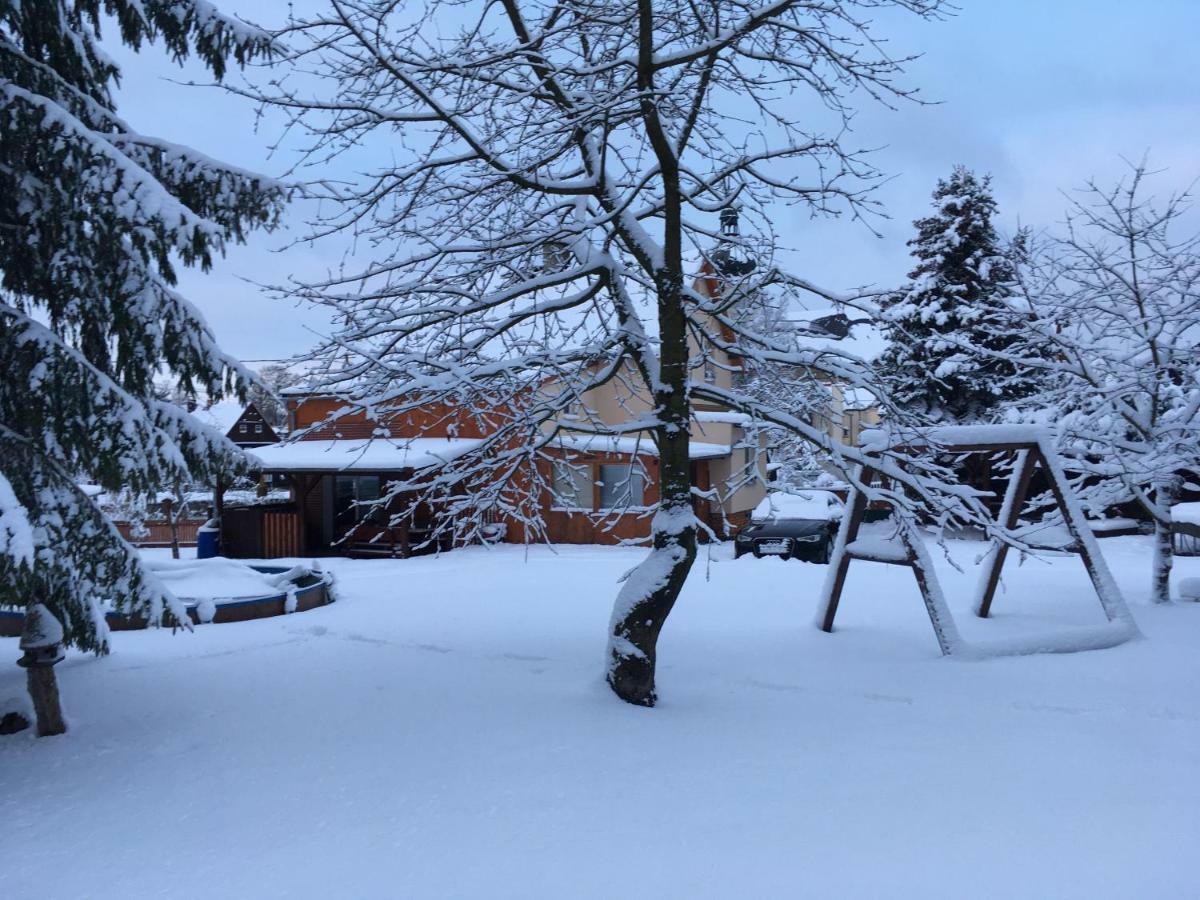 Ubytovani U Rybnicka Villa Arnoltice u Decina Bagian luar foto