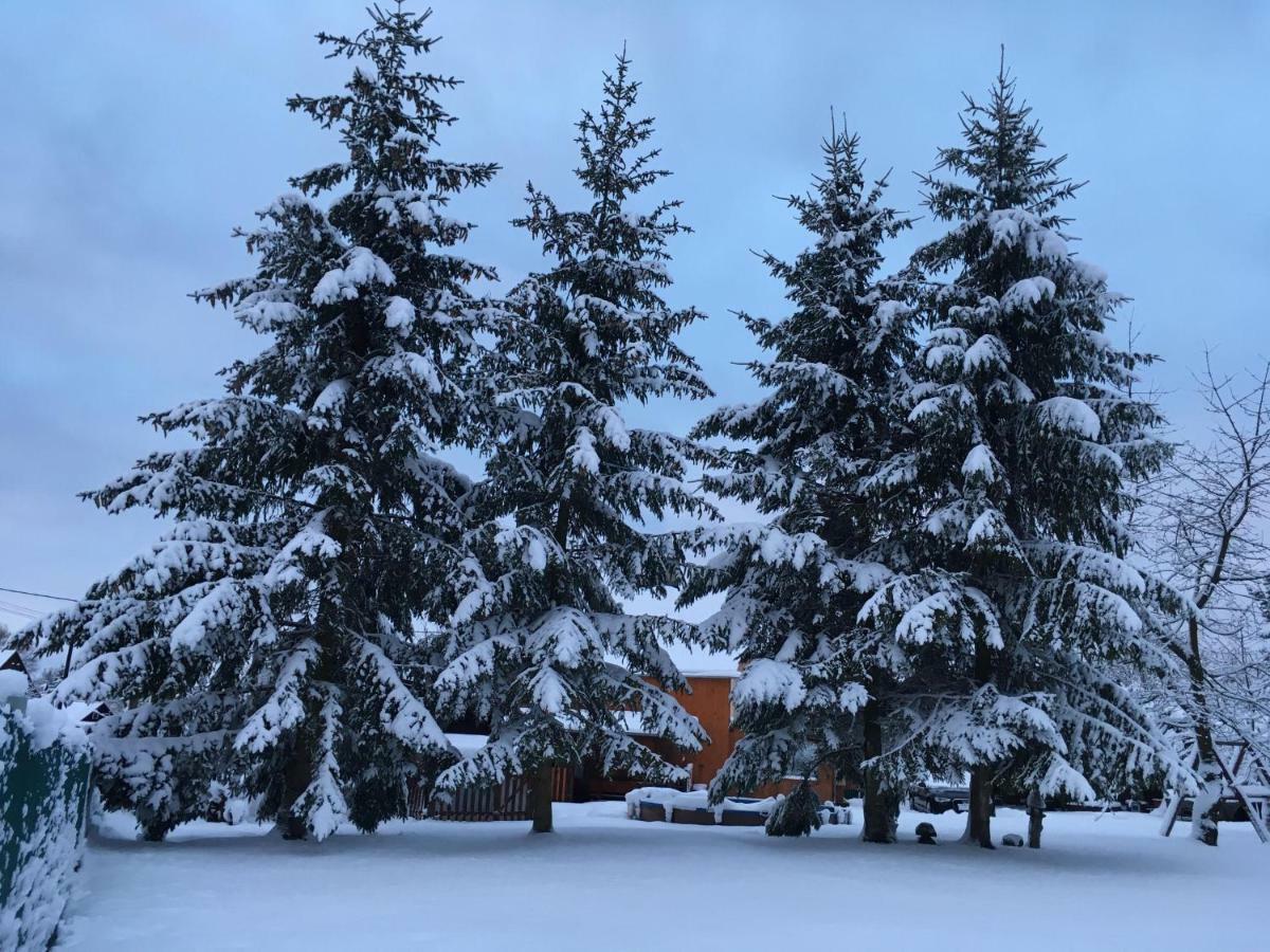 Ubytovani U Rybnicka Villa Arnoltice u Decina Bagian luar foto